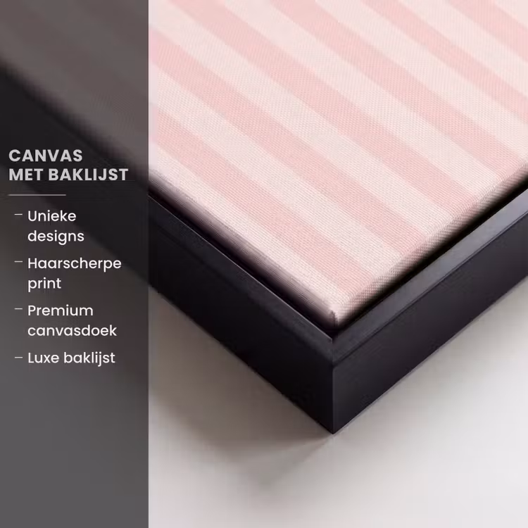 Canvas met lijst - Nice - Strepen - Roze — 5