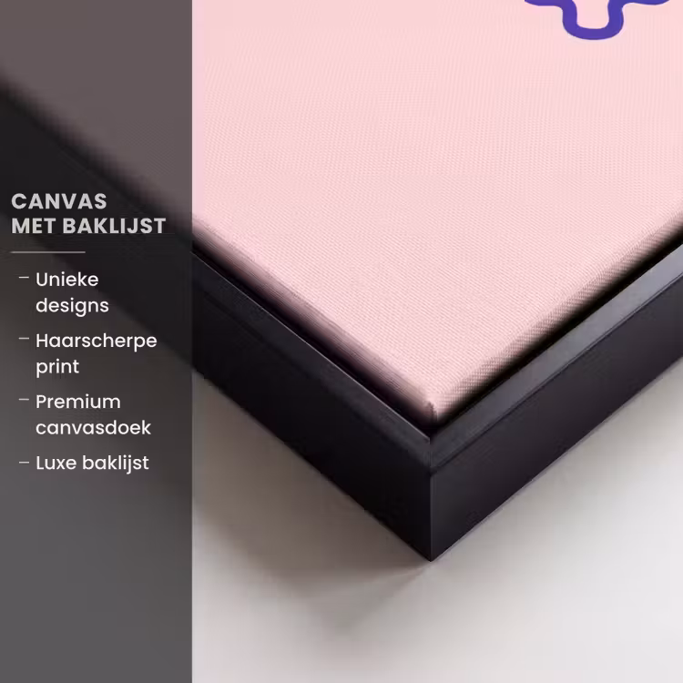 Canvas met lijst - Grl pwr - Roze - Kader — 5