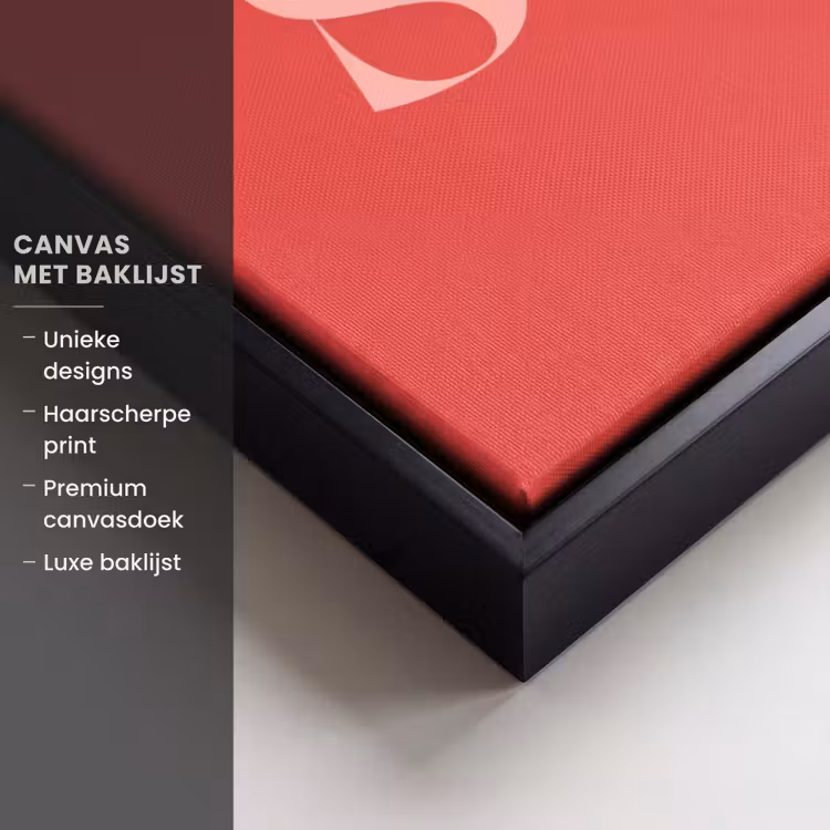 Canvas met lijst - Star girl - Rood - Panter - Ster — 5