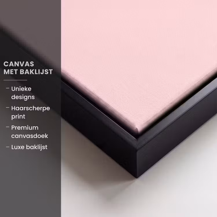 Canvas met lijst - Why not - Bliksem - Roze — 5
