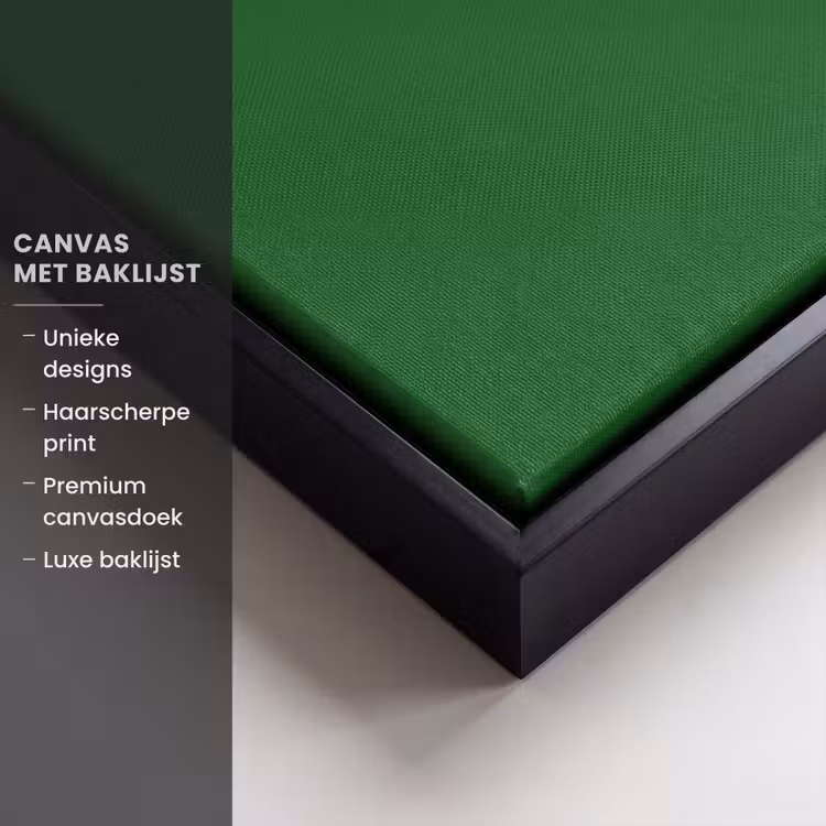 Canvas met lijst - Cirkel - Roze - Tekst - Art — 5