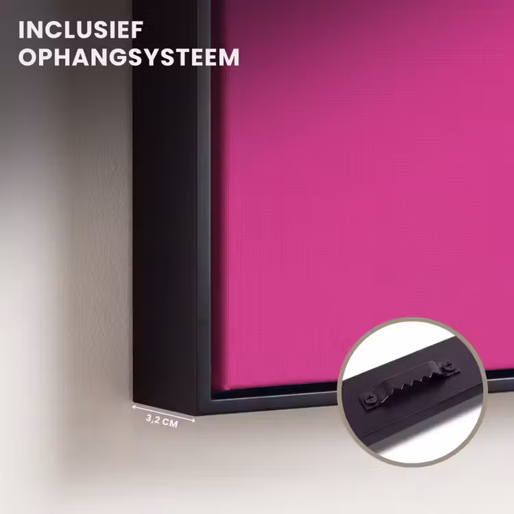 Canvas met lijst - Focus on the good - Roze - wit — 3