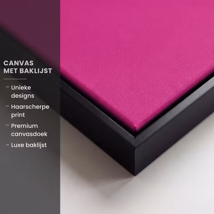 Canvas met lijst - Focus - Smiley - Roze — 5