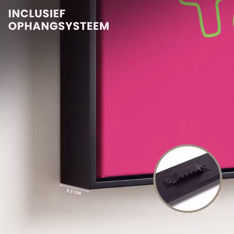 Canvas met lijst - Toedeloe - Groen - Roze — 3