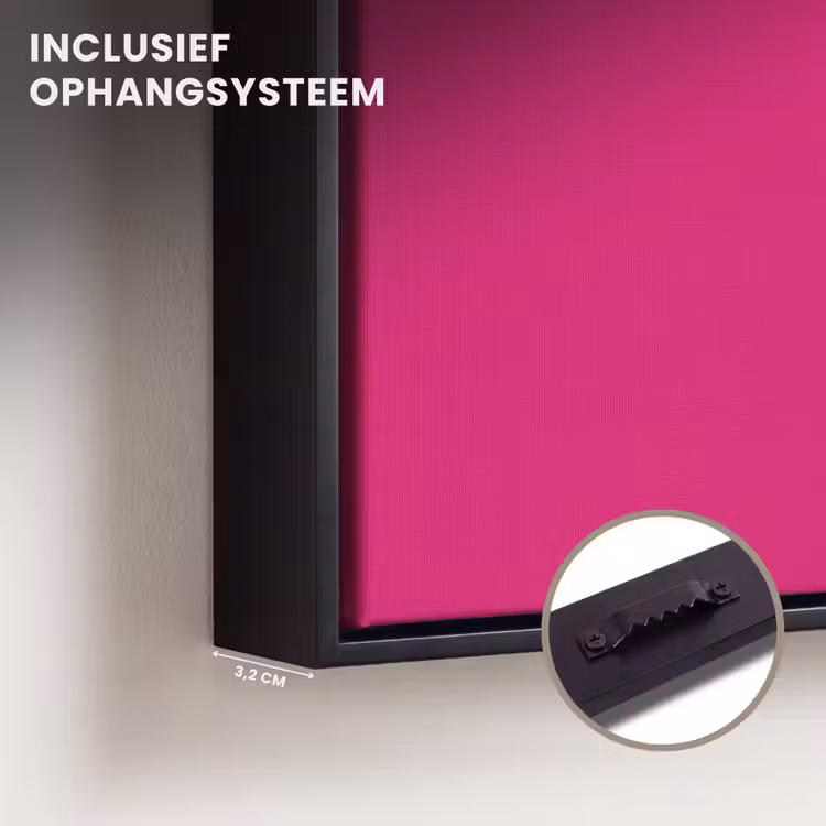 Canvas met lijst - Toedeloe - Roze — 3