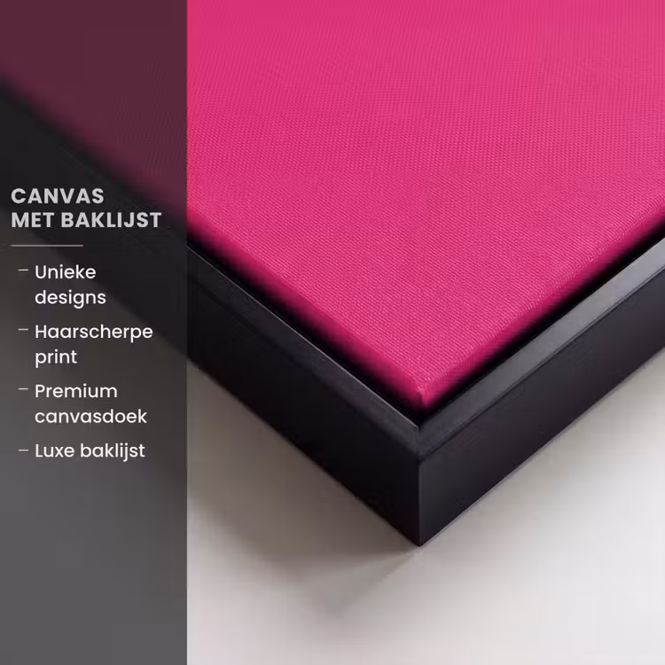 Canvas met lijst - Toedeloe - Roze — 5