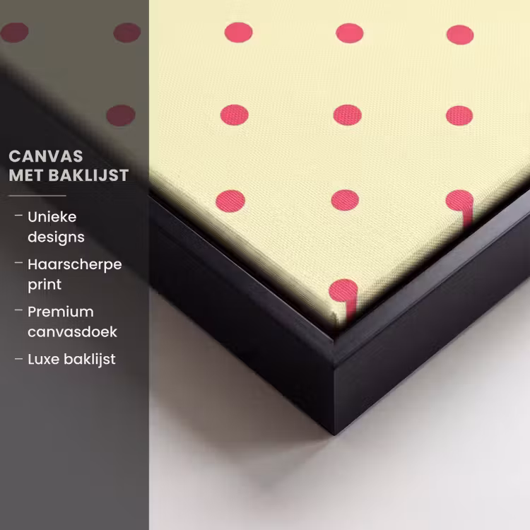 Canvas met lijst - Nice - Stippen - Roze - Geel — 5
