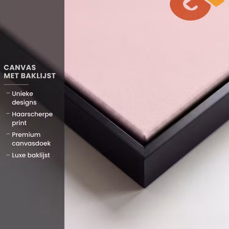 Canvas met lijst - You're doing great - Roze - Kleurrijk — 5