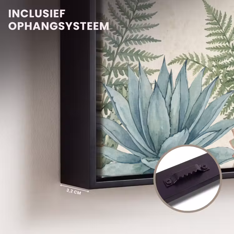Canvas met lijst - Woestijn - Planten - Groen — 3