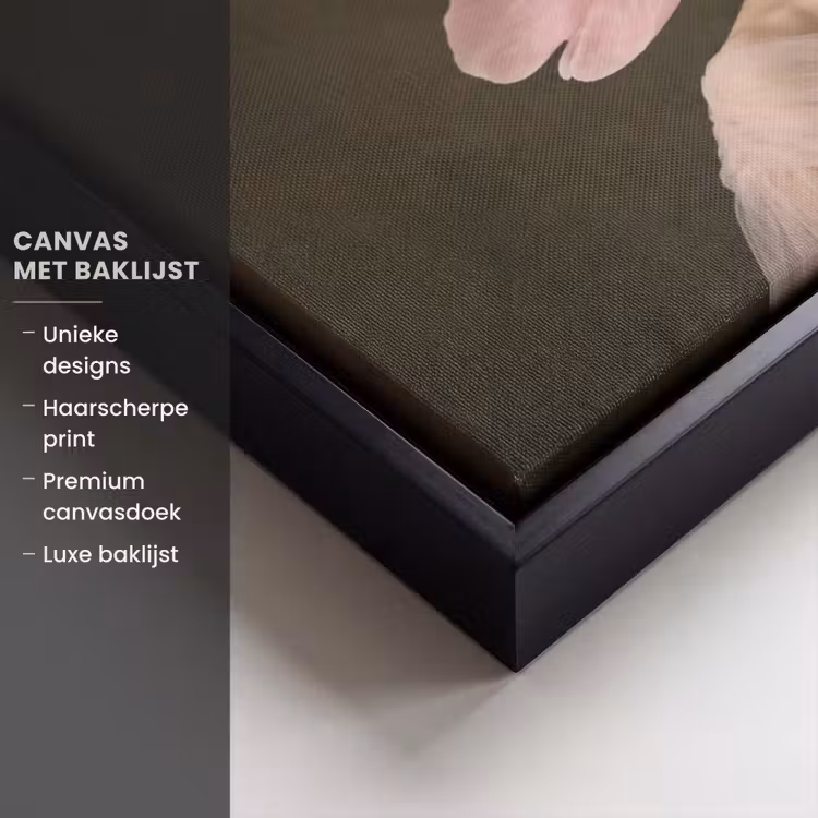 Canvas met lijst - Gezicht - Roos - Roze — 5