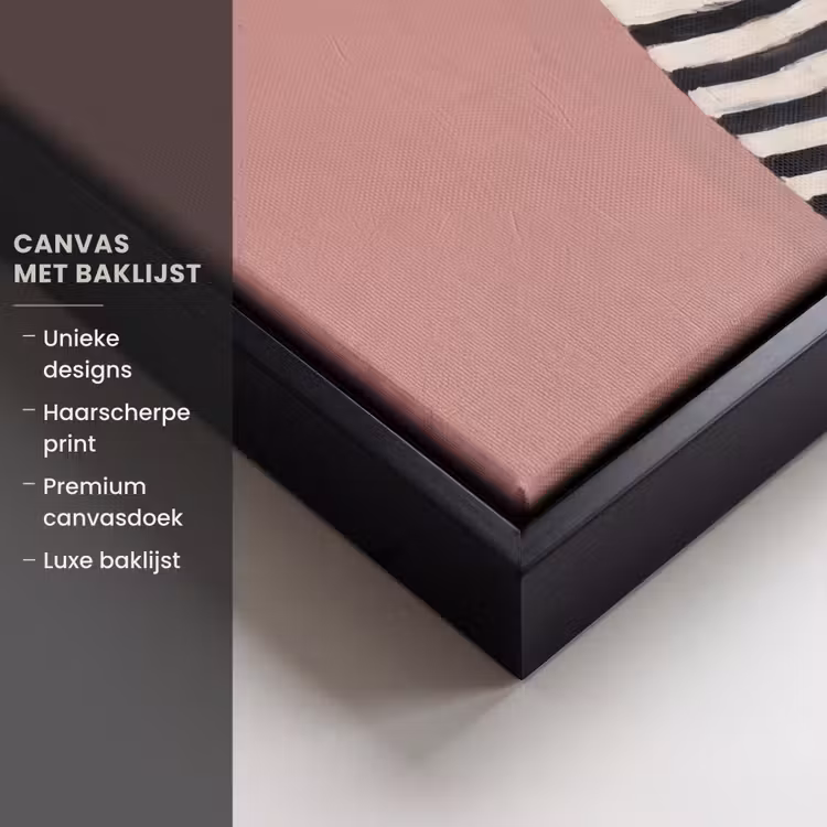 Canvas met lijst - Grafisch - Vrouw - Roze — 5