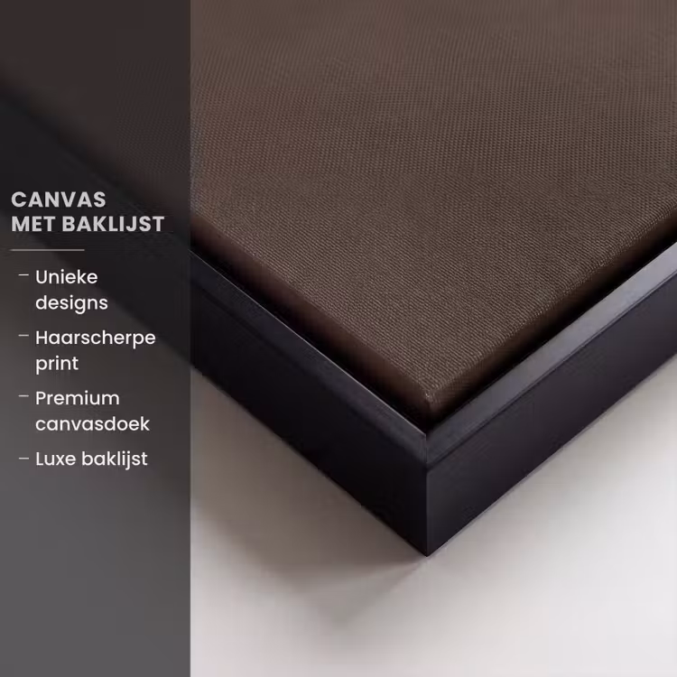 Canvas met lijst - Meesterwerk - Modern - Kleurrijk — 5
