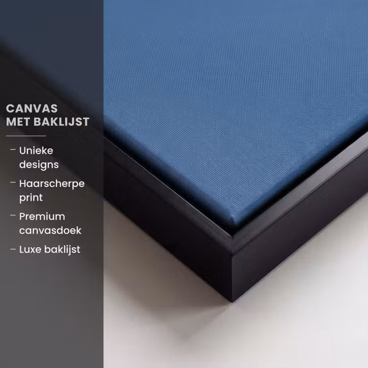 Canvas met lijst - Portret - Klassiek - Wit - Blauw — 5