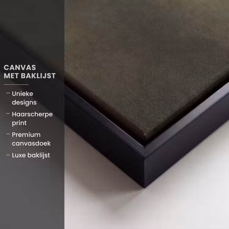 Canvas met lijst - Vleugels - Vrouw - Wit — 5