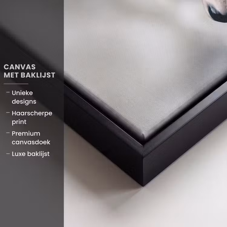 Canvas met lijst - Vrouw - Zwaan - Wit — 5