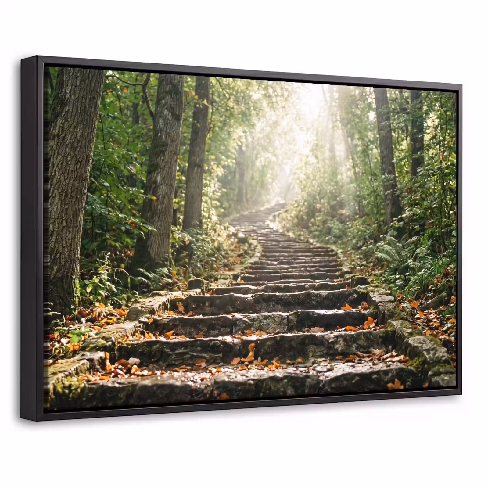 Canvas met lijst - Stenen - Trap - Bos - Natuur — 1