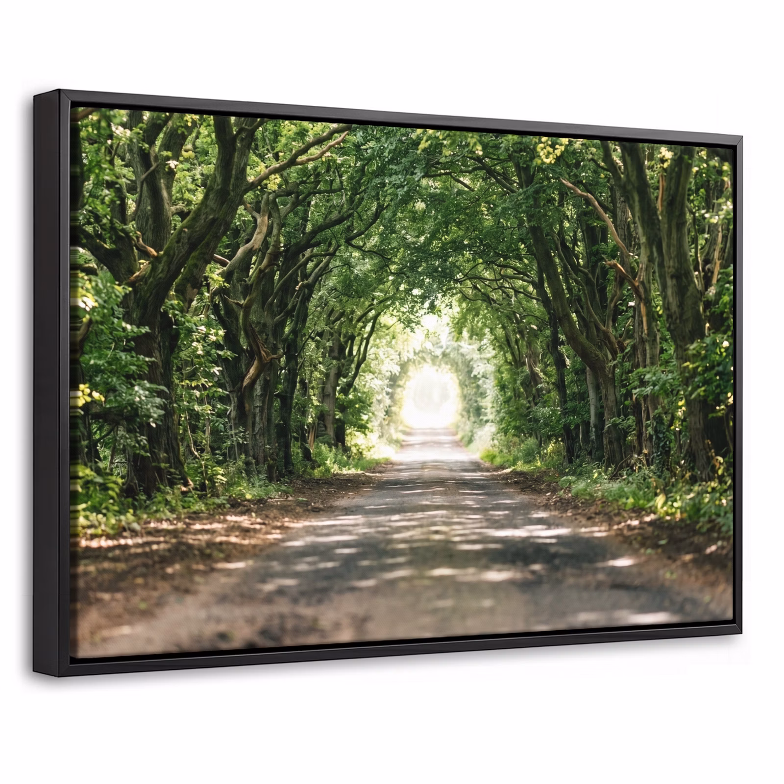 Canvas met lijst - Weg - Bomen - Natuur - Groen — 1