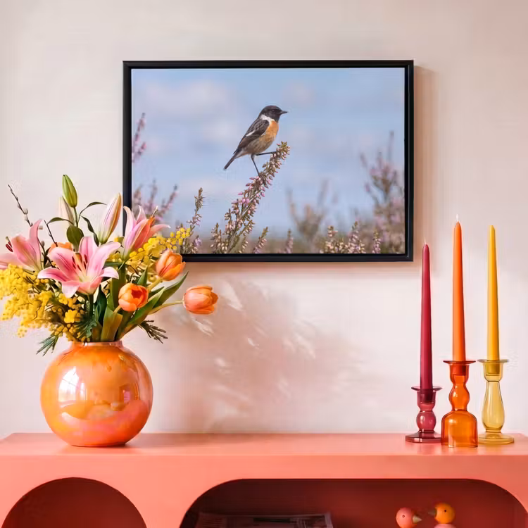 Canvas met lijst - Roodborsttapuit - Heide - Paars - Natuur - Sfeervol — 4