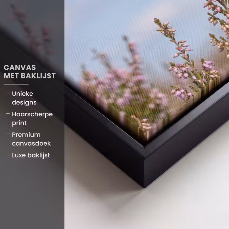 Canvas met lijst - Roodborsttapuit - Heide - Paars - Natuur - Sfeervol — 5