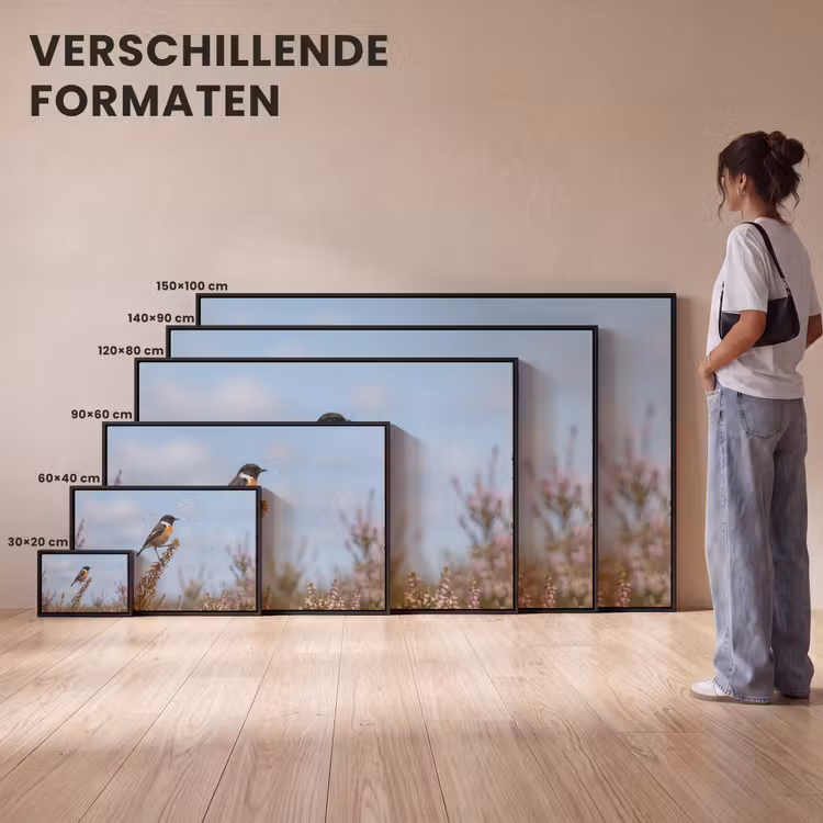 Canvas met lijst - Roodborsttapuit - Heide - Paars - Natuur - Sfeervol — 7