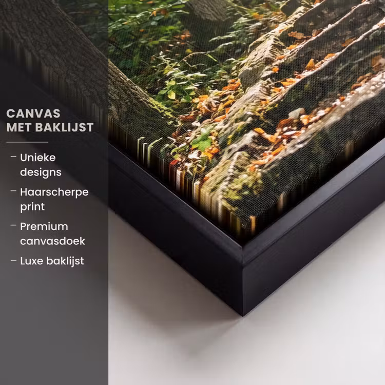 Canvas met lijst - Stenen - Trap - Bos - Natuur — 5