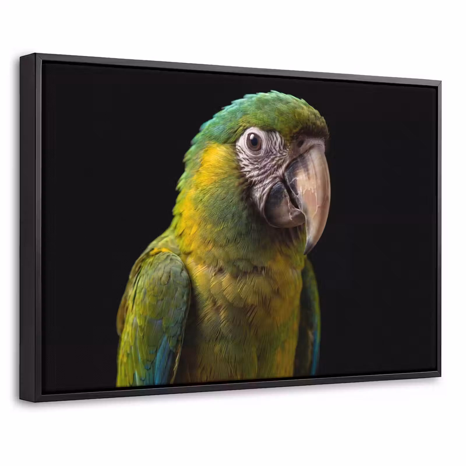 Canvas met lijst - Ara - Portret - Groen — 1