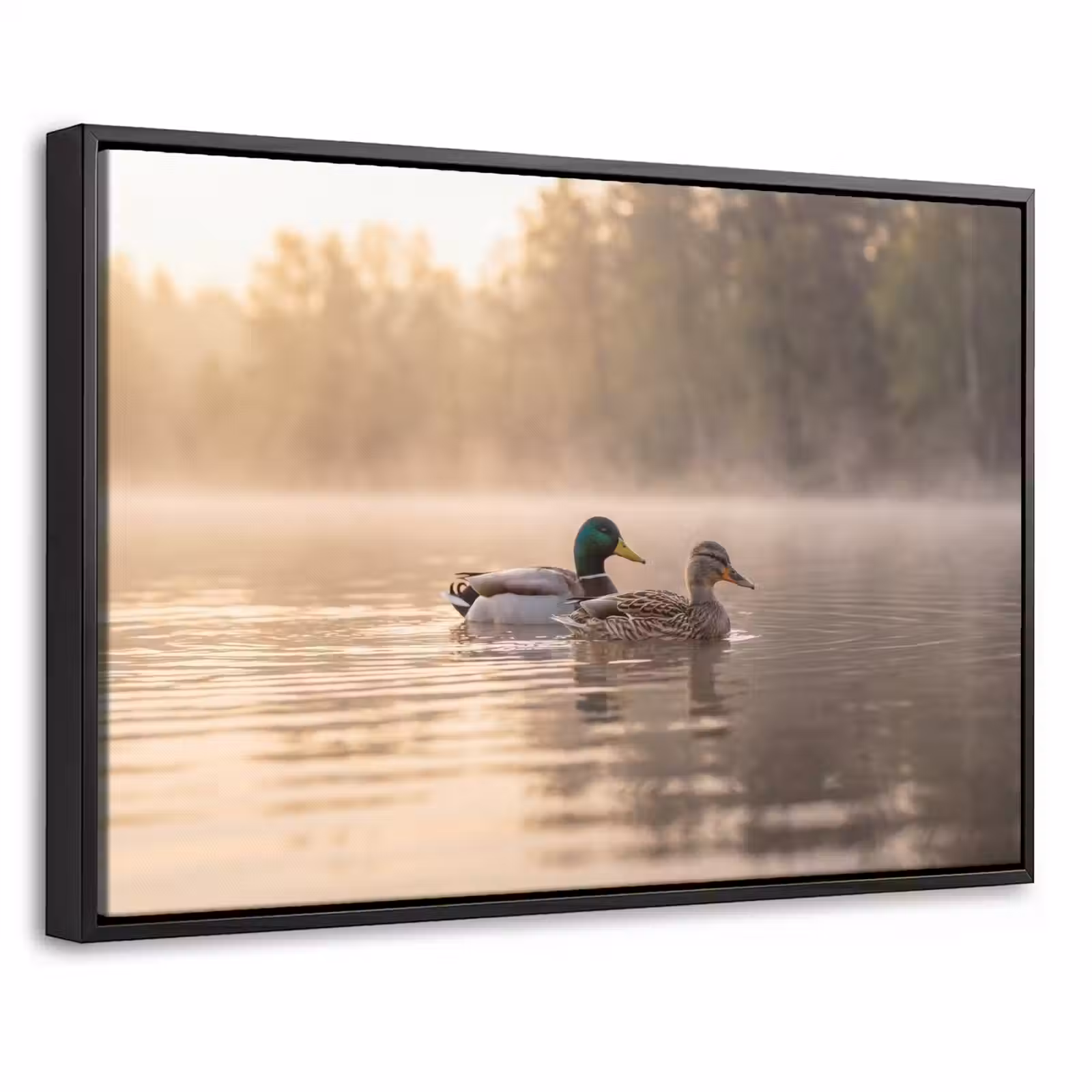 Canvas met lijst - Eenden - Water - Mist - Natuur — 1