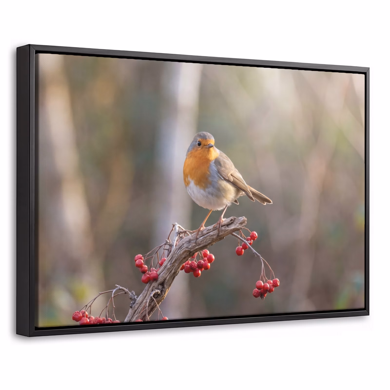 Canvas met lijst - Roodborst - Tak - Bessen - Natuur — 1