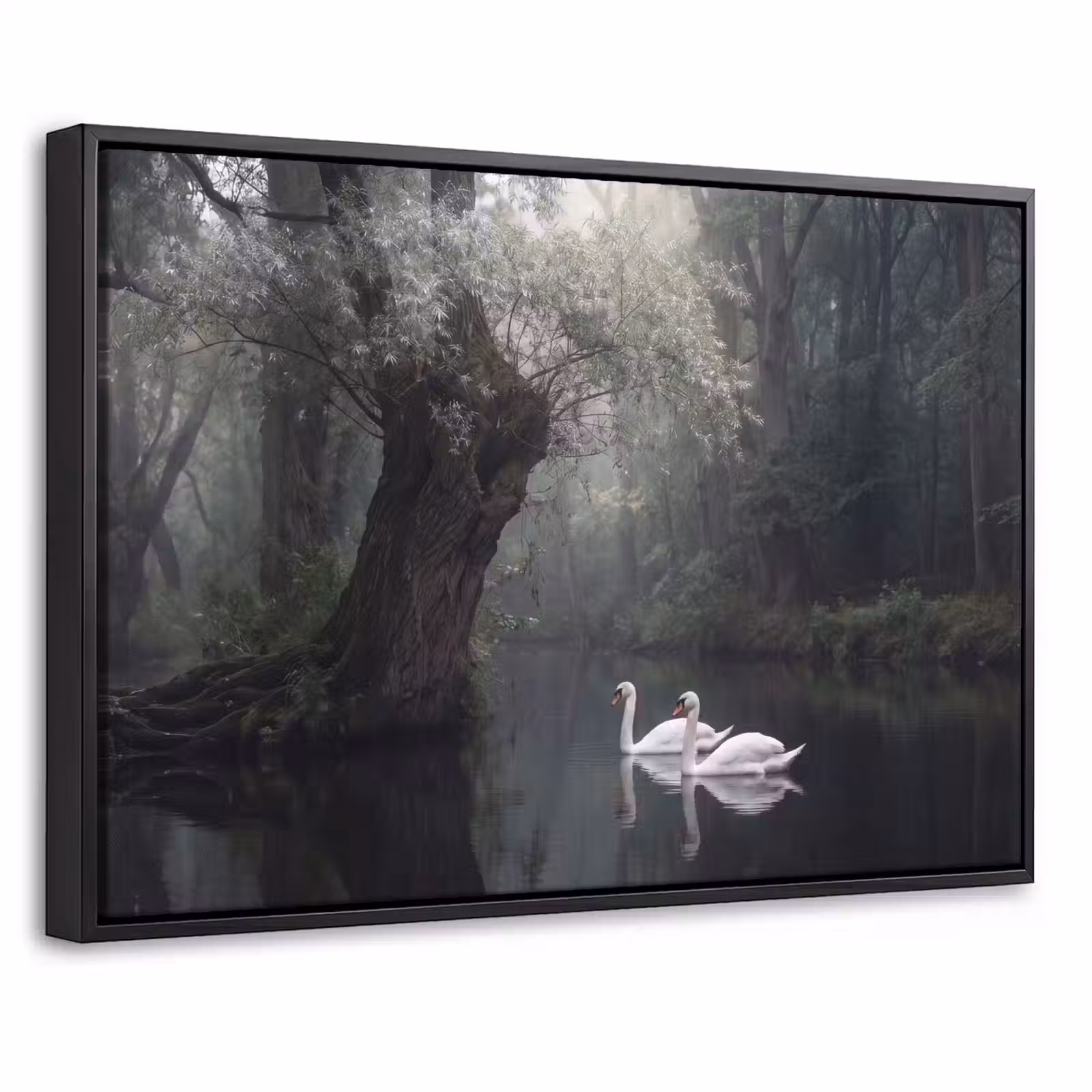 Canvas met lijst - Zwanen - Rivier - Bos — 1