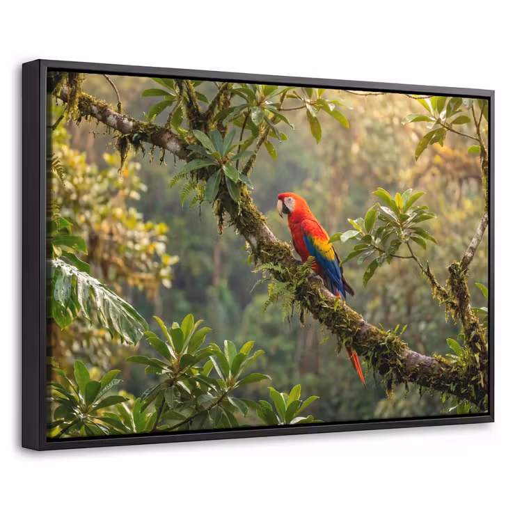 Canvas met lijst - Ara - Jungle - Rood — 1