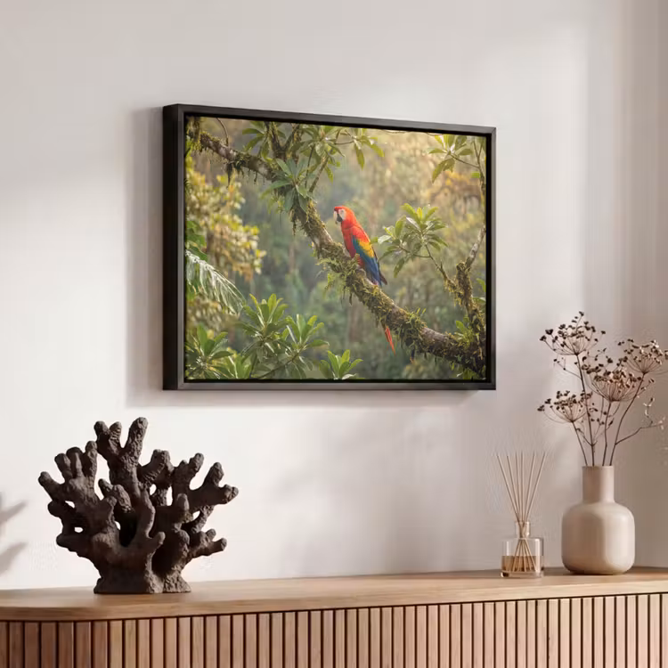 Canvas met lijst - Ara - Jungle - Rood — 6
