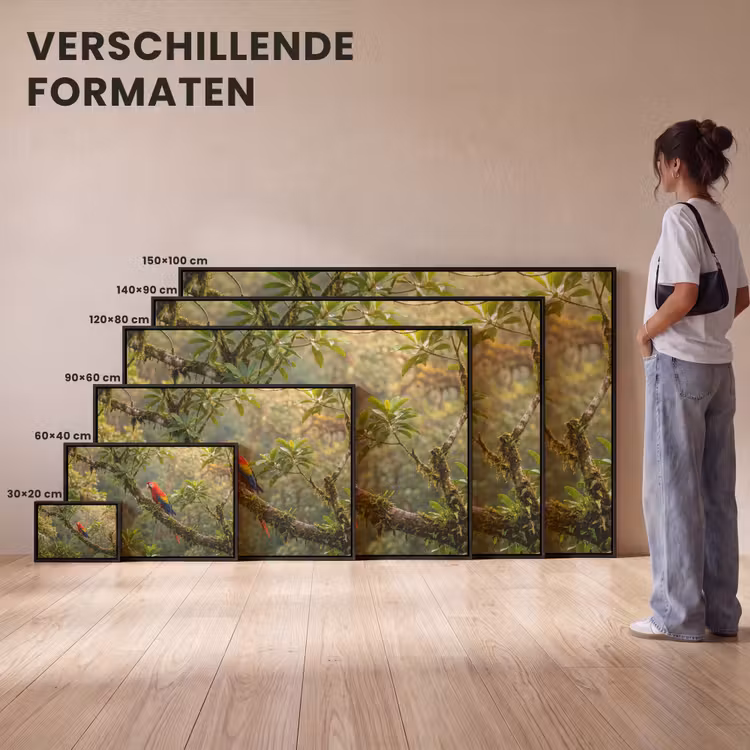 Canvas met lijst - Ara - Jungle - Rood — 7