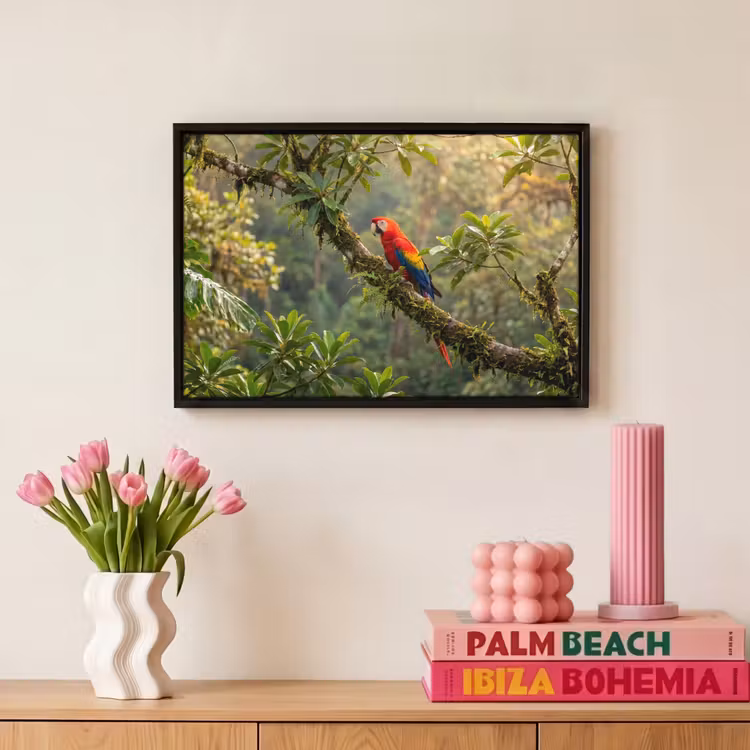 Canvas met lijst - Ara - Jungle - Rood — 8