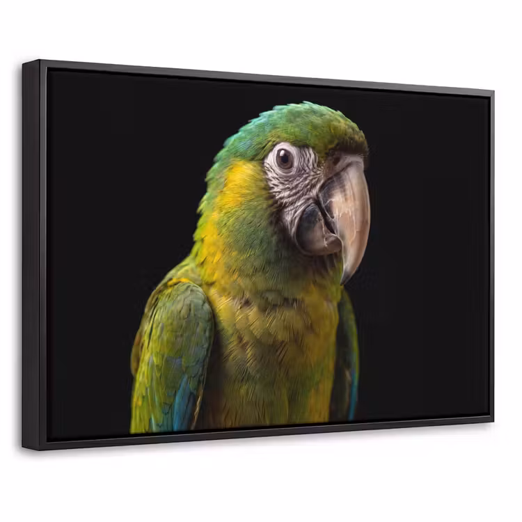 Canvas met lijst - Ara - Portret - Groen — 1