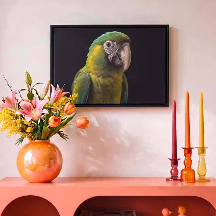 Canvas met lijst - Ara - Portret - Groen — 4