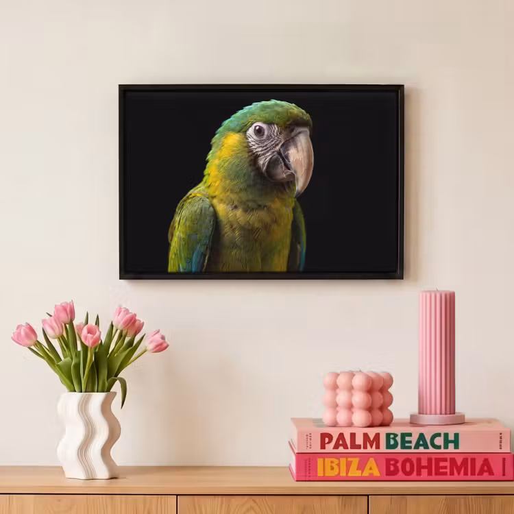 Canvas met lijst - Ara - Portret - Groen — 8