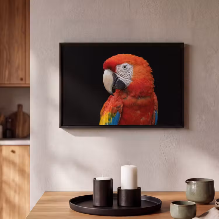 Canvas met lijst - Ara - Portret - Rood — 2