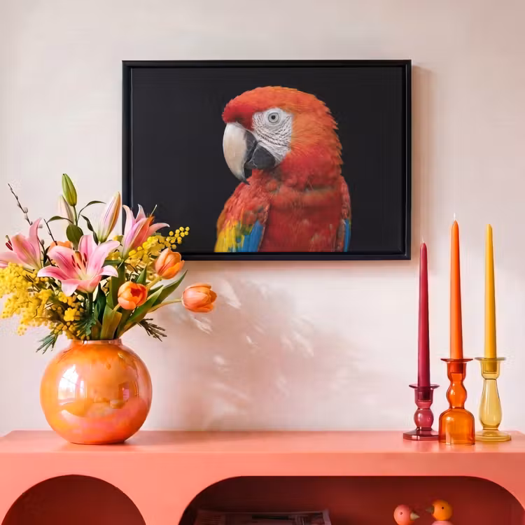Canvas met lijst - Ara - Portret - Rood — 4