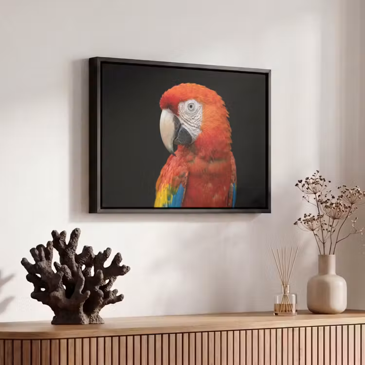 Canvas met lijst - Ara - Portret - Rood — 6