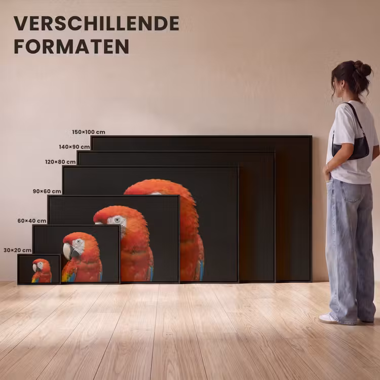 Canvas met lijst - Ara - Portret - Rood — 7