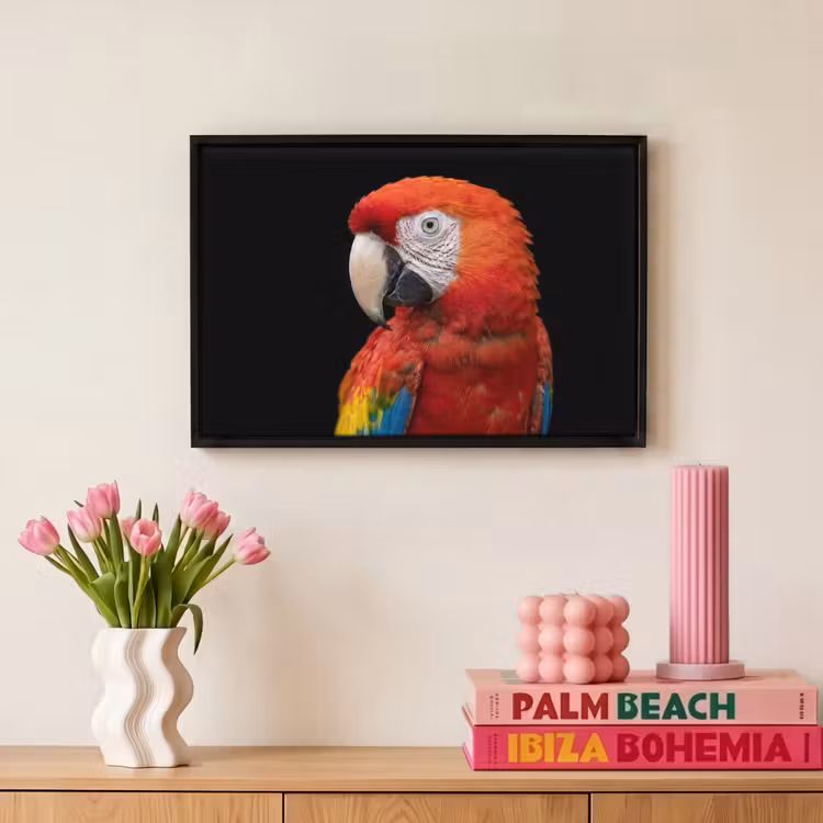 Canvas met lijst - Ara - Portret - Rood — 8