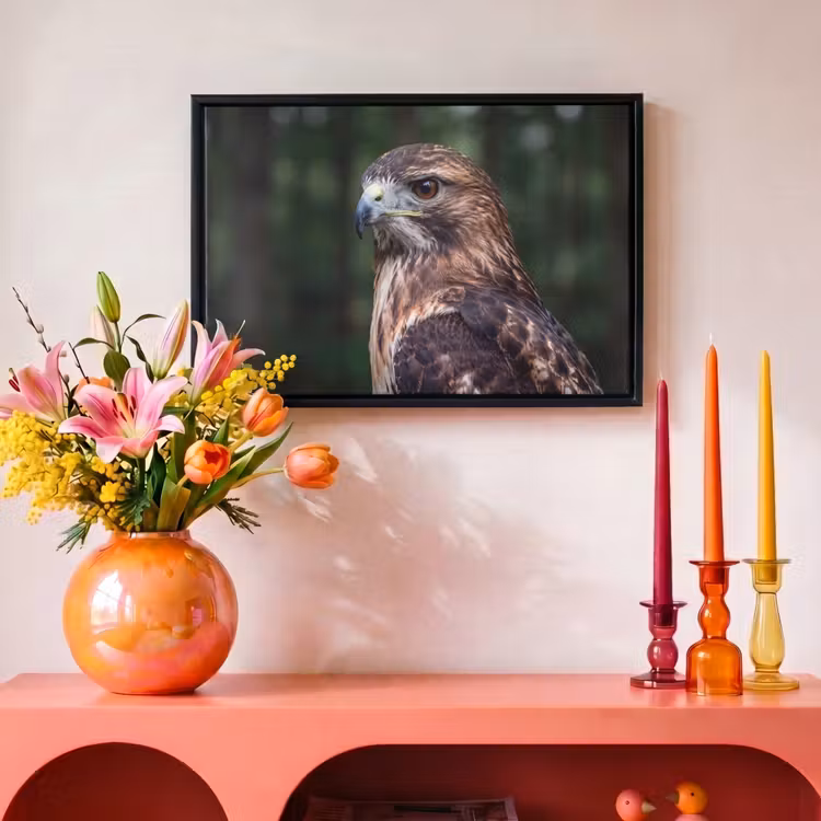 Canvas met lijst - Buizerd - Roofvogel - Natuur - Bruin — 4
