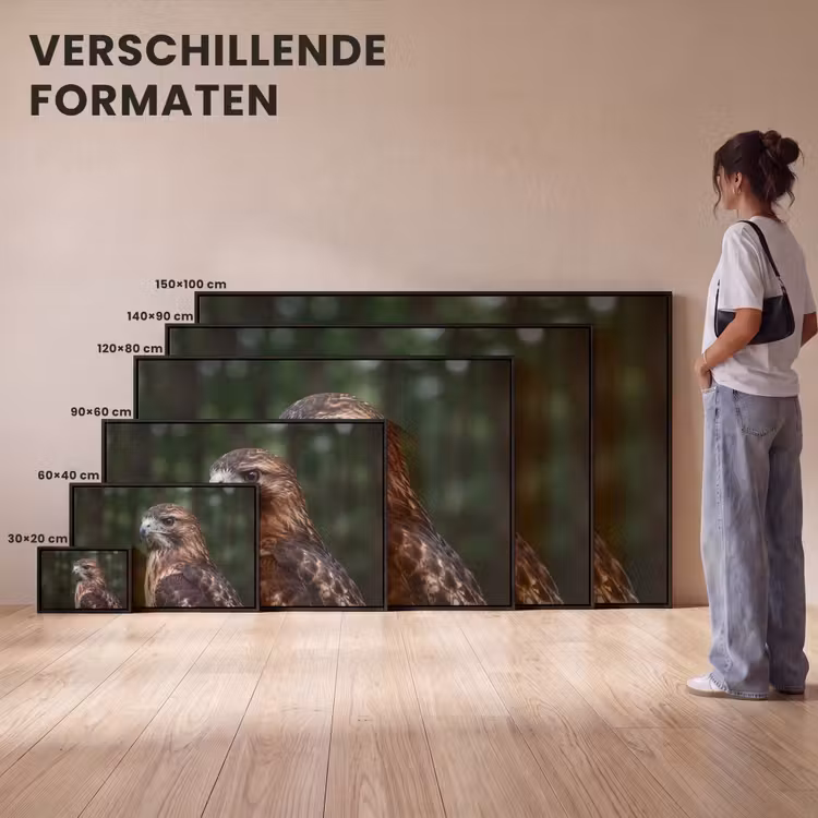 Canvas met lijst - Buizerd - Roofvogel - Natuur - Bruin — 7