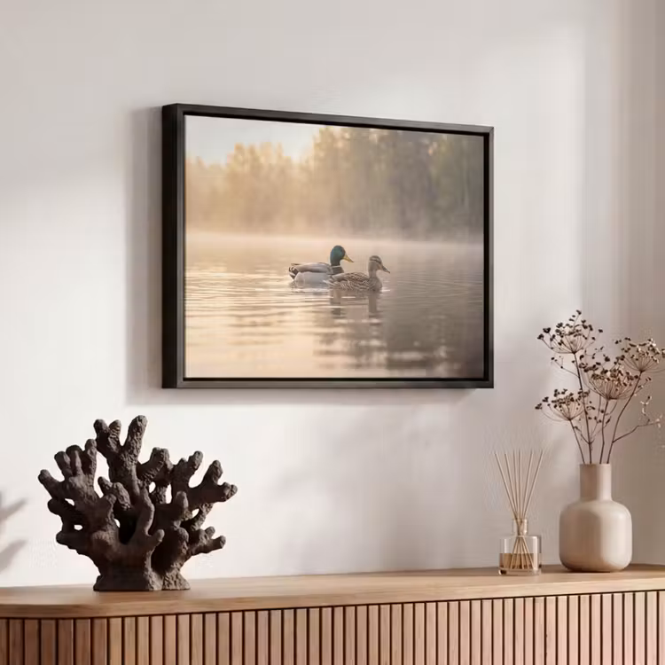 Canvas met lijst - Eenden - Water - Mist - Natuur — 6