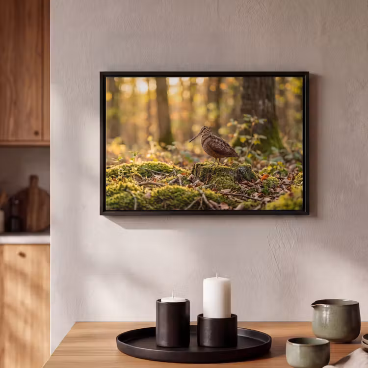 Canvas met lijst - Houtsnip - Bos - Bladeren - Herfst - Gecamoufleerd — 2