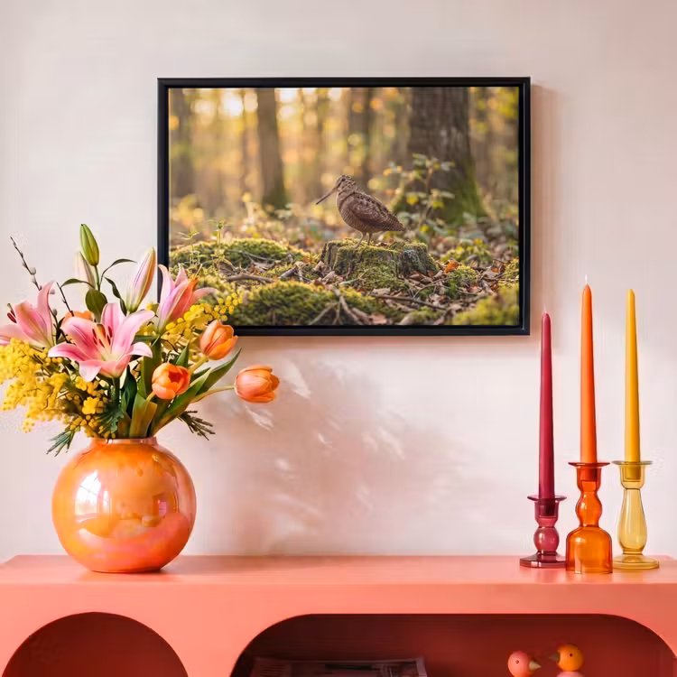 Canvas met lijst - Houtsnip - Bos - Bladeren - Herfst - Gecamoufleerd — 4