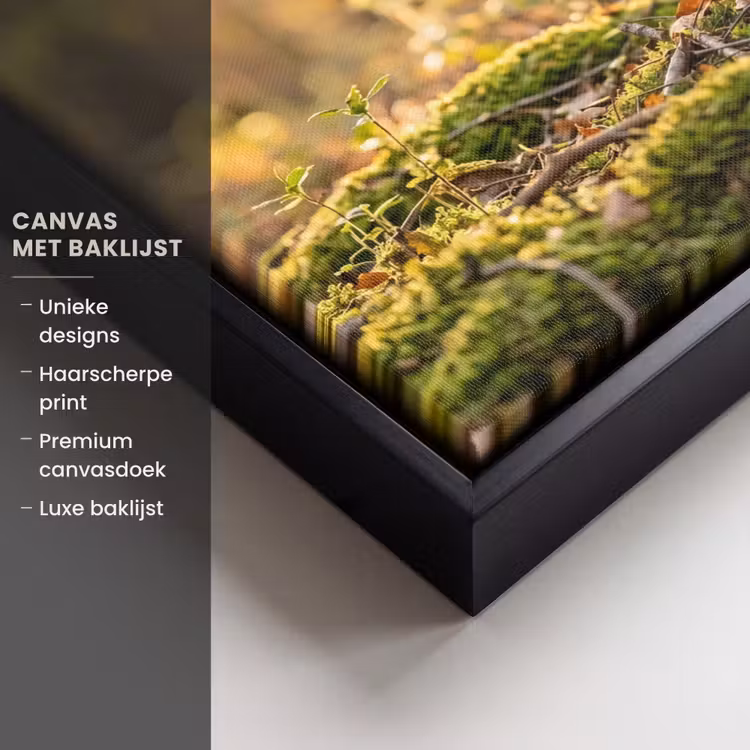 Canvas met lijst - Houtsnip - Bos - Bladeren - Herfst - Gecamoufleerd — 5