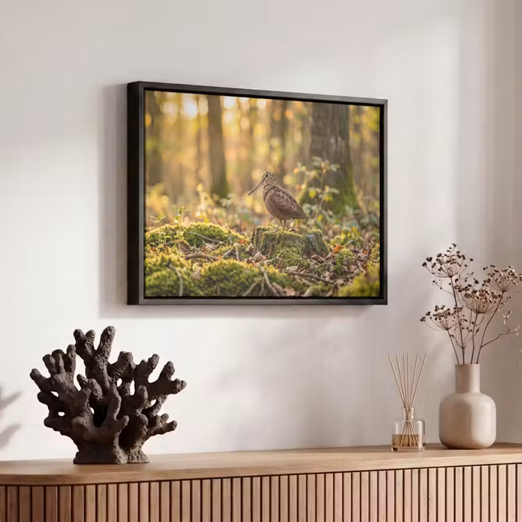 Canvas met lijst - Houtsnip - Bos - Bladeren - Herfst - Gecamoufleerd — 6