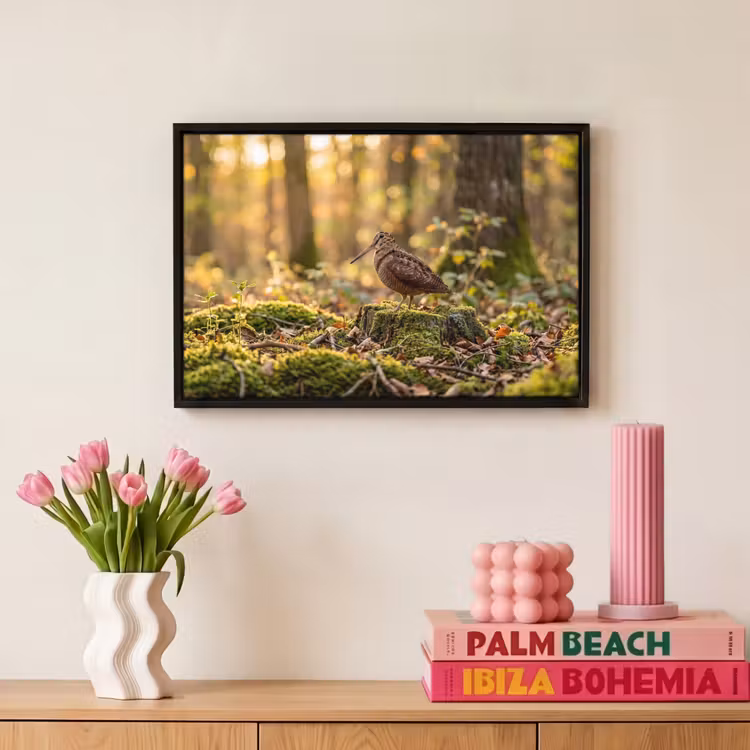 Canvas met lijst - Houtsnip - Bos - Bladeren - Herfst - Gecamoufleerd — 8