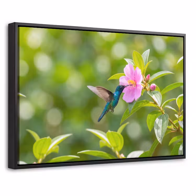 Canvas met lijst - Kolibrie - Bloem - Natuur - Groen — 1
